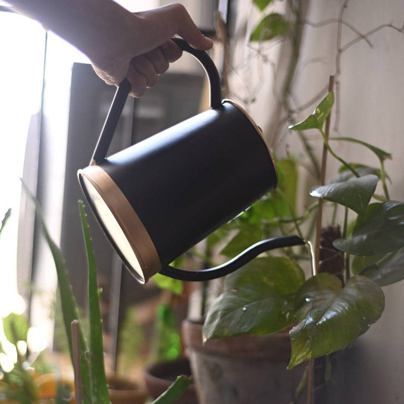 Metal Plant Watering Can