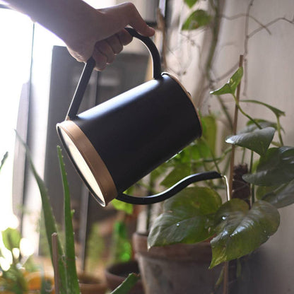 Metal Plant Watering Can