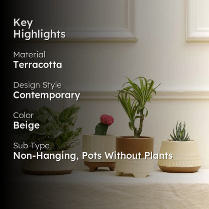 Terracotta Planters – Set of 4