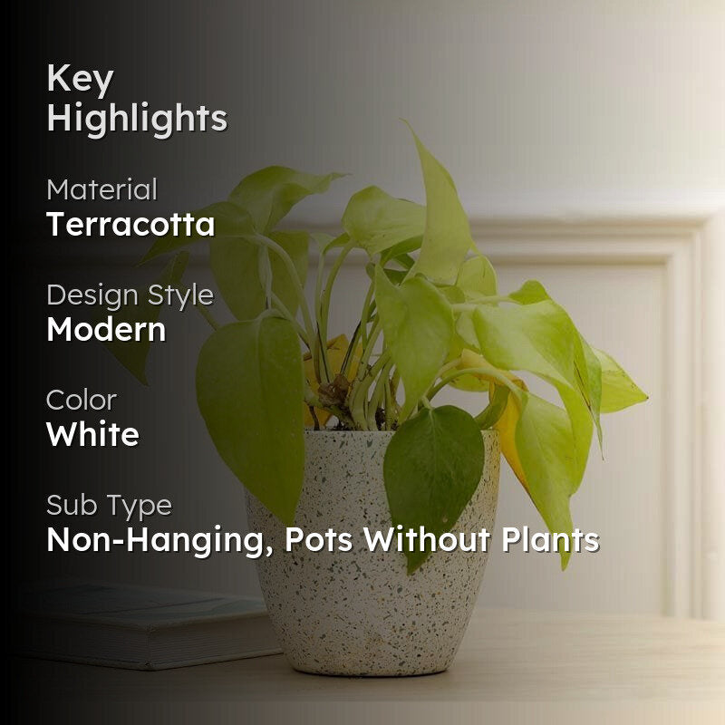Speckled White Terracotta Pot for Indoor Plants