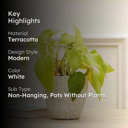Speckled White Terracotta Pot for Indoor Plants