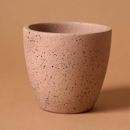 Speckled White Terracotta Pot for Indoor Plants